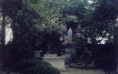/album/galeria-de-fotos-pagina-inicial/bosque-maia-jpg/